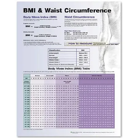 Anatomical Chart Company Anatomical Chart BMI and Waist Circumference Chart 20 X 26 Inch Plastic Wall Mount Laminated – 9780781772273