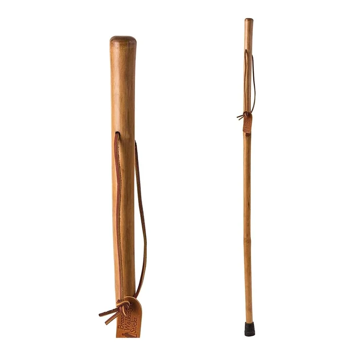 Brazos™ Iron Bamboo Rustic Walking Stick, 55 Inch Height, Red
