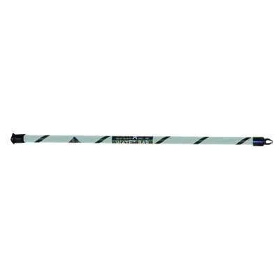 CanDo Slim WaTE Bar, Silver Stripe, 9 lbs.