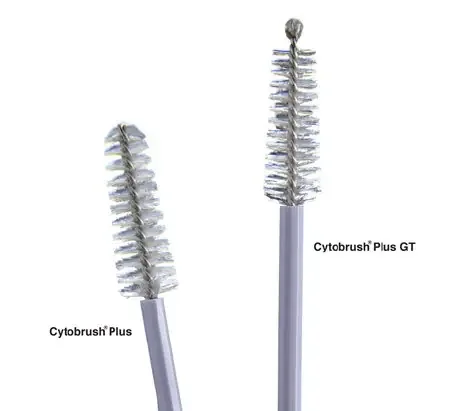 Cooper Surgical Cytobrush Plus GT Cytology Brush 196 mm – C0305