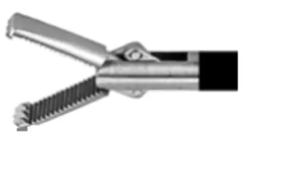 Elmed 5mm Allis, Short Version, Serrated – 12mm Tip