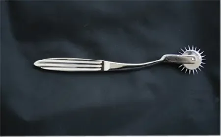 Fabrication Enterprises Pinwheel – 12-1450