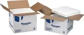 Fisher Scientific Thermosafe Insulated Shipper ThermoSafe 19.38 L X 12.38 W X 12.25 D Inch Inner, 22.38 L X 15.38 W X 15.38 H Inch Outer – 353032