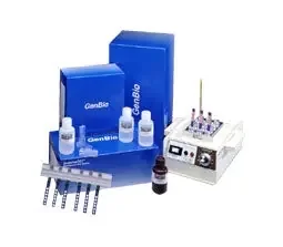 Genbio ImmunoDOT Method Assay Control Autoimmunity Positive Level – 800-3918