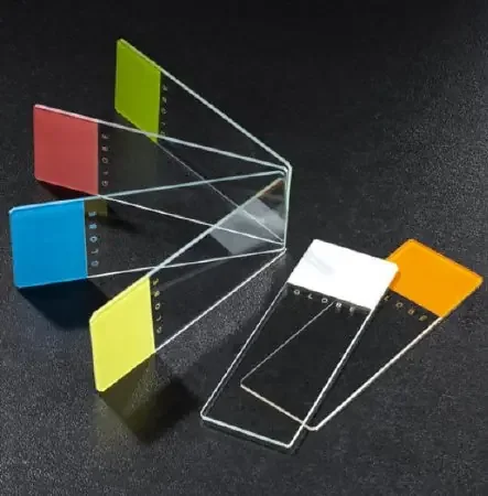 Globe Scientific Color Coded Beveled Edges with Clipped Corners ...