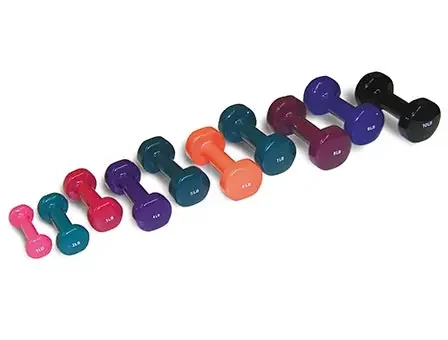 Hausmann Industries Dumbbell 8 lbs. – 5517-V