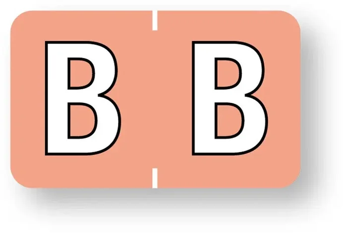 Medical Labels – Alpha File Folder Label – Barkley ABKM Compatible Series, 1-1/2″ x 1″