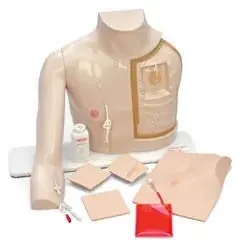Nasco Chester Chest Mannequin – SB18636