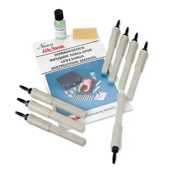 Nasco Company Bone Model Life/Form Ea – LF01109U