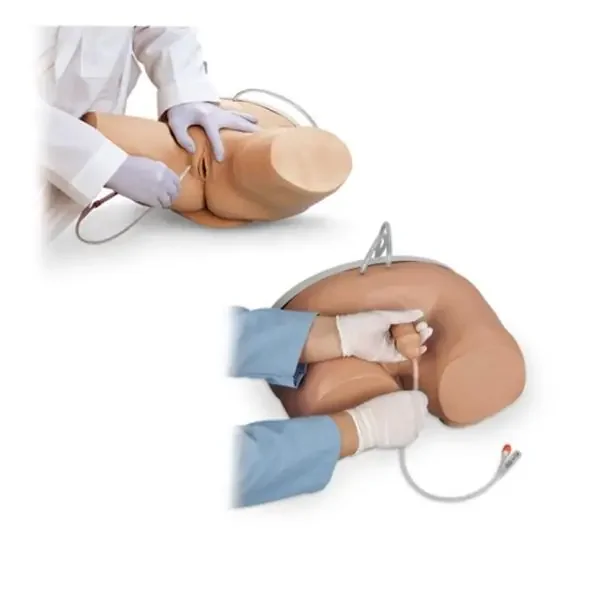 Nasco Company Catheter Simulator Educational Male/Female Ea – LF00857U