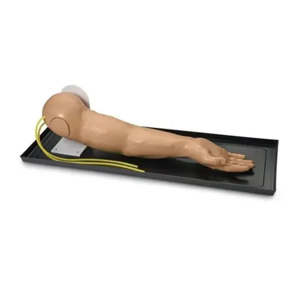 Nasco Company Iv Arm Simulator Training Deluxe Each – 140-120B