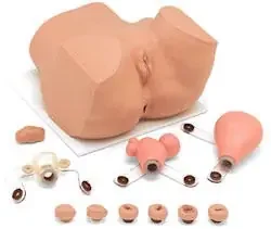 Nasco EVA Gynecological Training Mannequin Female – 160-1900