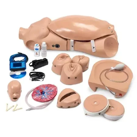 Nasco Gaumard Maternal and Neonatal Birthing Torso Female – SB37714