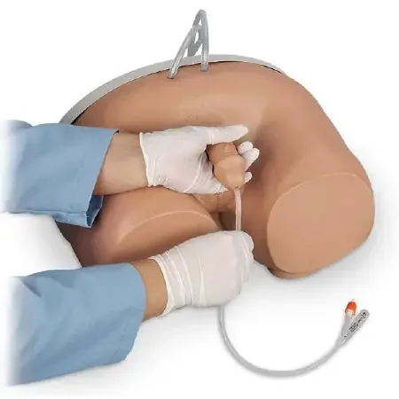 Nasco Life/Form Catheterization Simulator Male 12 lbs. – LF00855