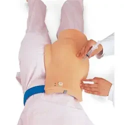 Nasco X-Ray Dental Mannequin – SB34774