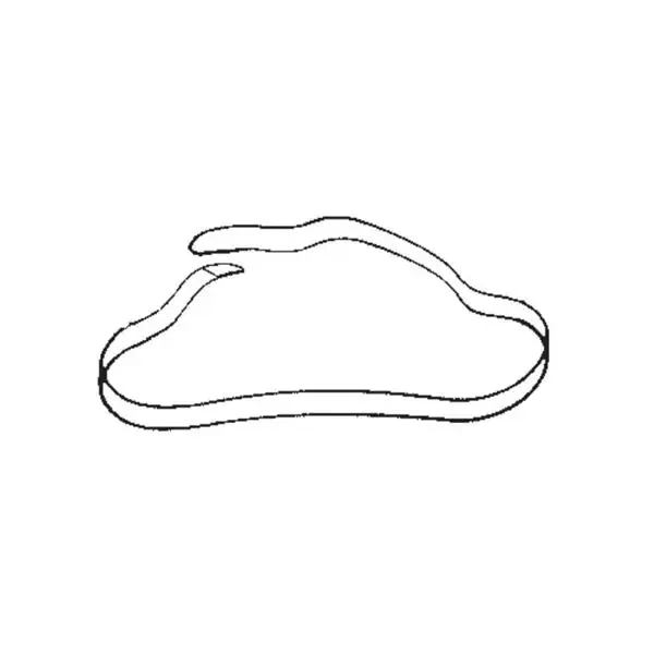 Profex Medical Products Strap Restraint Body/Leg Velcro 72″ Ea – 345NV