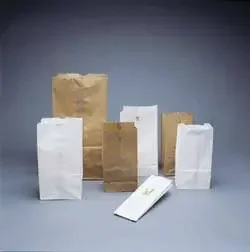 RD Plastics Company RD Plastics Pharmacy Bag 4-3/4 X 7 X 14 Inch White Open Ended – G305