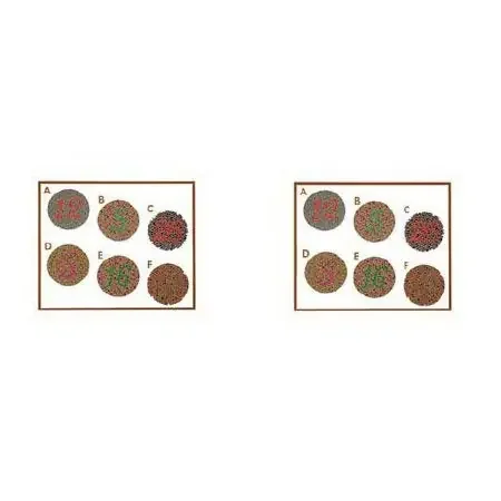 Stereo Optical Company Color Perception Test Slide – 2000019